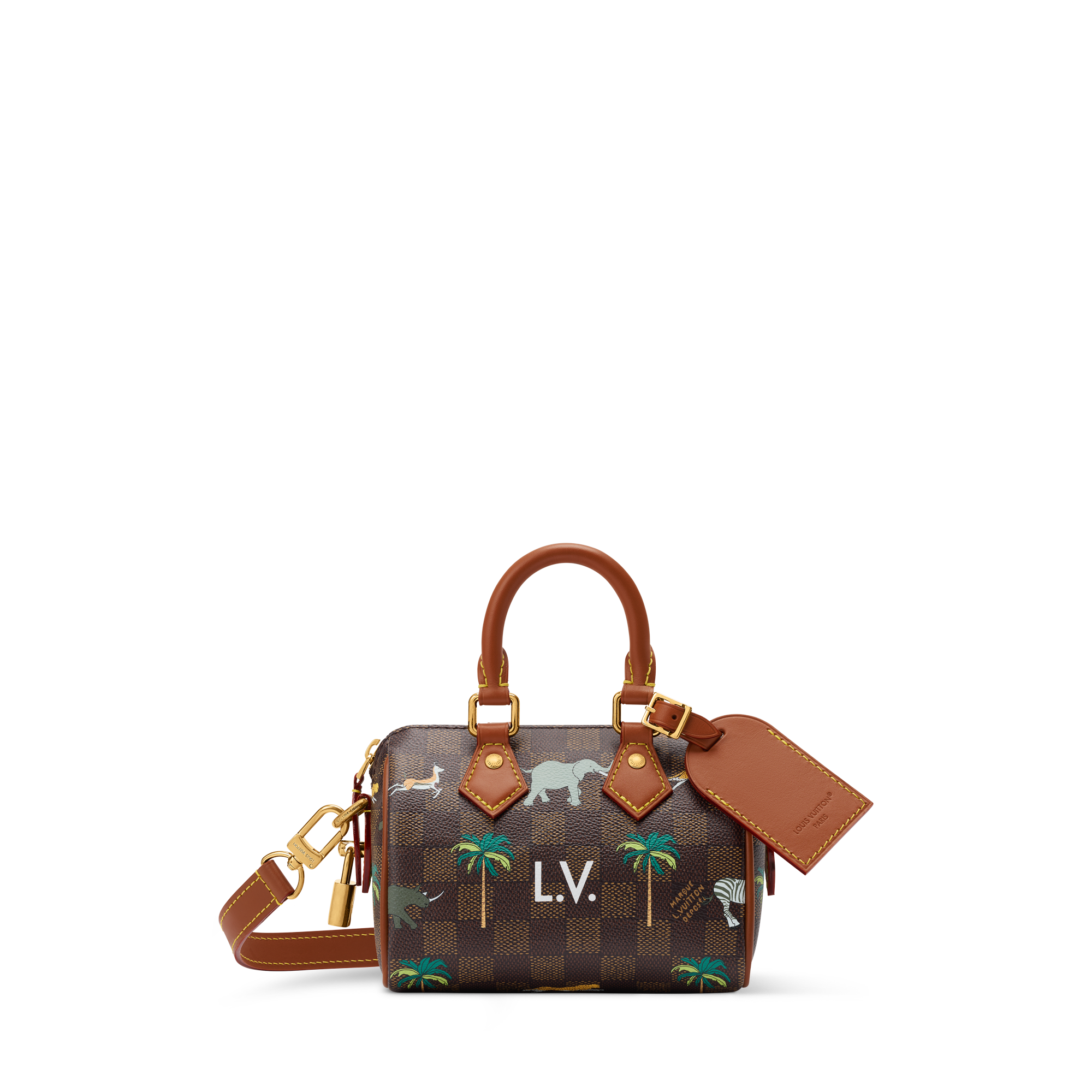 Speedy Bandoulière 18 x The Darjeeling Limited Damier Other - Bags
